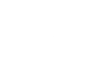 Bozeman Film Festival Best Documentary Laurels